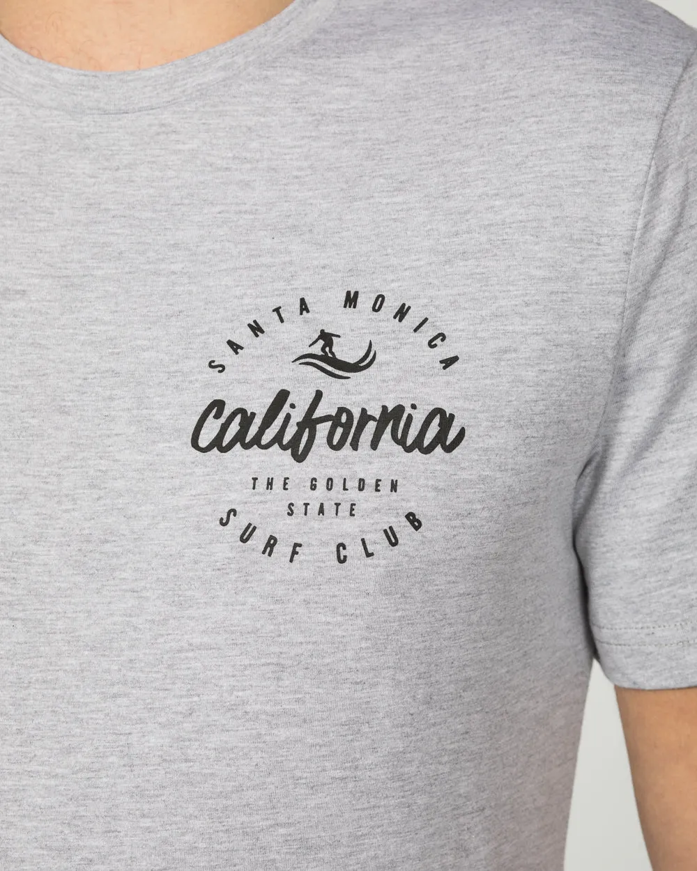 2t Printed Tall T-Shirt (california grey)