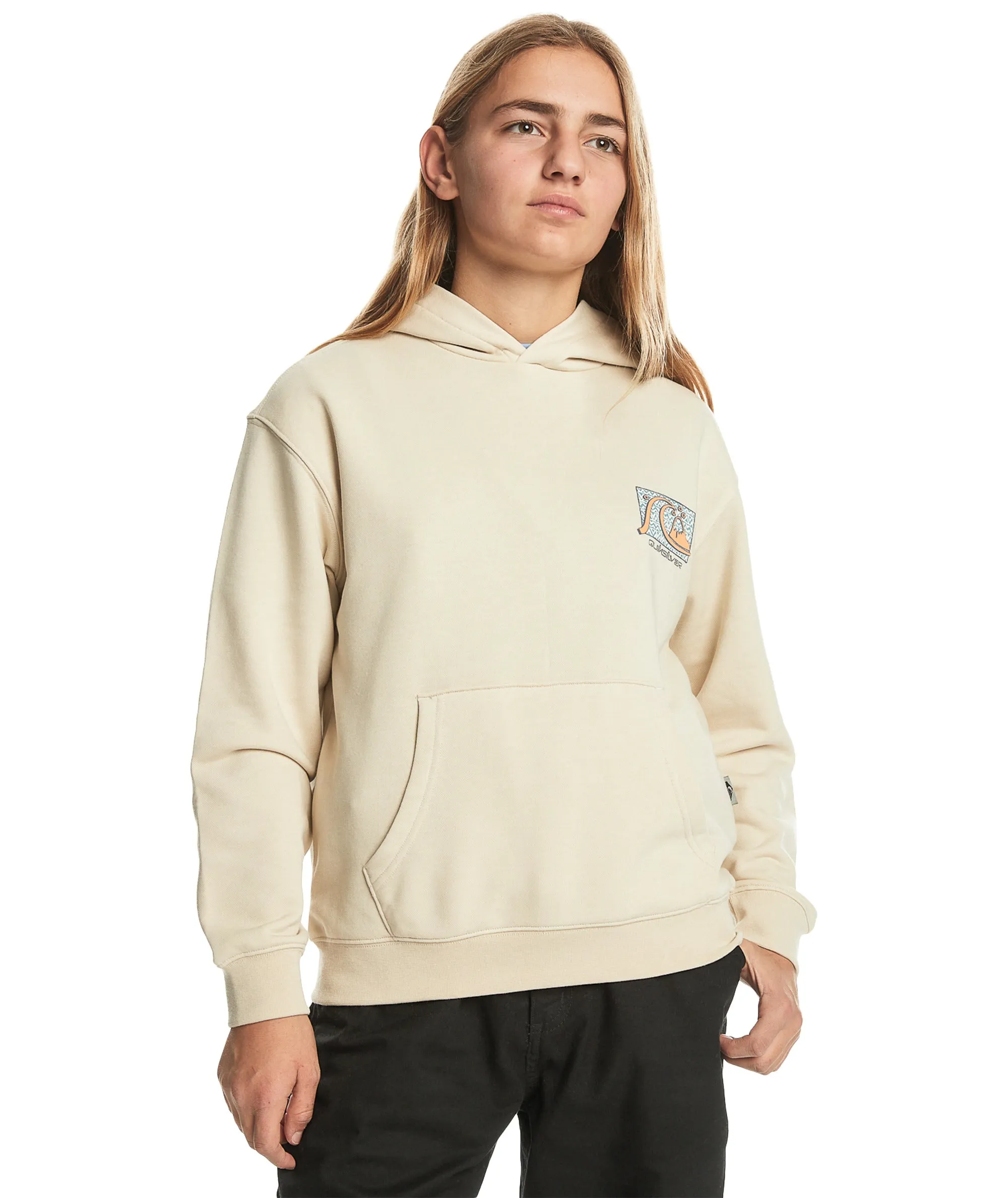 Quiksilver Kids Drybridge Hoodie