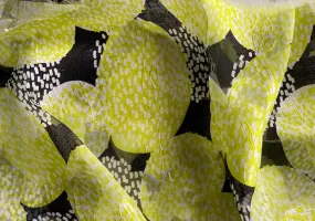 Ungaro Lemon & Black Silk Georgette Façonne (Made in Italy)